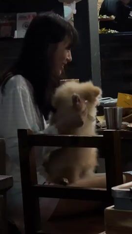 A young woman with long dark hair sits in a wooden chair, holding a small fluffy dog on her lap. She is wearing a light-colored striped shirt and pink shorts. The dog is facing away from the camera, with its head turned slightly towards the woman. The woman appears to be smiling and interacting with the dog. They are seated at a table in what appears to be an indoor setting, possibly a restaurant, with other people and objects visible in the background, including a television screen mounted on the wall. The lighting is dim, suggesting it is evening or indoors.