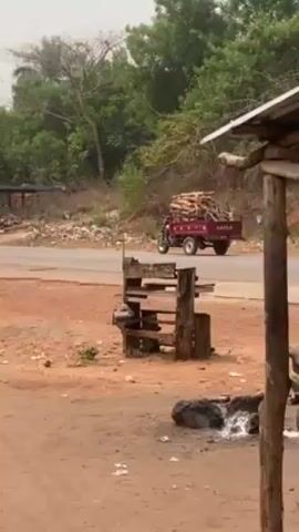 The video depicts a small, three-wheeled motorized vehicle, branded as "DAYUN," traveling on a paved road. The vehicle's cargo bed is heavily laden with stacked firewood. The road runs alongside a wooded area with a slight elevation, and the surrounding ground is mostly reddish dirt. Another person on a motorcycle rides behind the Dayun. The perspective is from the side of a rudimentary structure constructed from wood and metal sheeting. The overall atmosphere suggests a rural or developing area.