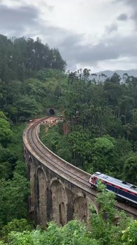 A train travels across a viaduct bridge in a lush, green forest. The train is blue and white with red accents. The bridge is made of stone arches and is curved. A tunnel entrance is visible in the background, surrounded by trees. There are a few people standing near the tunnel entrance. The sky is overcast and cloudy.