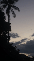 Twilight to Night Documentation in Rural Thai Village