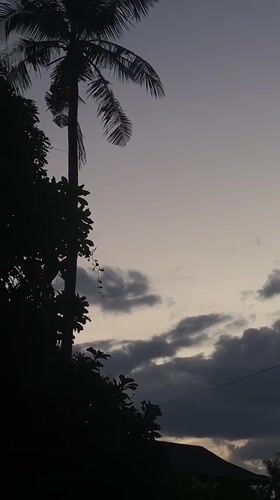 Twilight to Night Documentation in Rural Thai Village