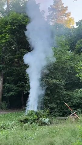 The video shows a tall plume of white smoke rising from a pile of green vegetation in a wooded area. The smoke is thick and billowing upwards, obscuring the trees behind it. The ground around the vegetation is covered in grass and some scattered leaves. To the right of the vegetation, there are two pieces of wood leaning against each other in an X-shape. The trees in the background are dense and green, with some sunlight filtering through the leaves at the top of the frame. The overall impression is that of a controlled burn or smoldering fire in a natural setting.