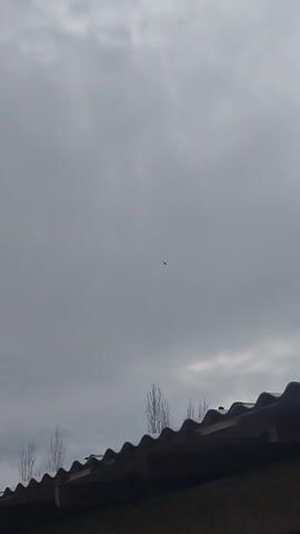 A video shows a grey, overcast sky above a brown, tiled roofline with bare trees behind the roof. A small, dark bird flies in the distance against the backdrop of the cloudy sky.