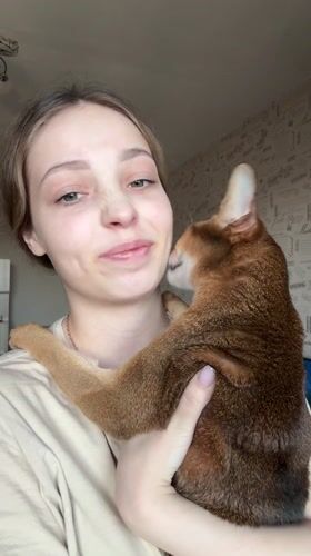 Daily life moments captured across Chaikovsky, Russia morning hours