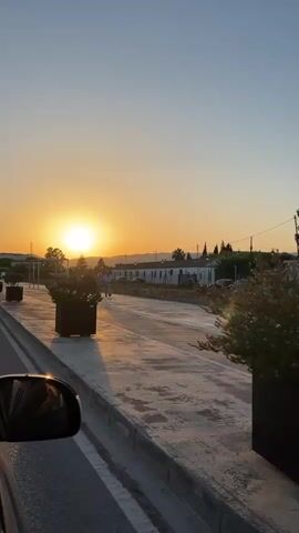The video captures a sunset viewed from the passenger side of a moving vehicle. The sun is low in the sky, casting a warm orange glow across a clear, light blue sky. The sun is partially obscured by a tree. A paved road with a curb is visible in the foreground, reflecting the sunlight and appearing wet or glossy. Several large, dark rectangular planters containing small trees are spaced along the roadside. In the middle ground, there are buildings with white walls and tiled roofs, characteristic of a suburban or semi-rural setting. Some palm trees and other vegetation are also visible. A few cars are parked and driving on the road. The overall impression is a serene, late afternoon or early evening scene.