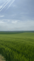 Person spotted in fields near Kashin, Bulgaria