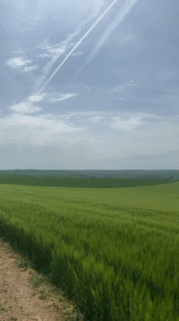 Person spotted in fields near Kashin, Bulgaria