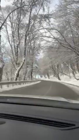 The video depicts a car driving along a road through a snowy forest. The road is paved and mostly clear, although there are some wet spots. The trees on either side of the road are covered in snow, and their branches arch over the road, creating a tunnel-like effect. The sky is visible in the distance, appearing light grey, possibly due to cloud cover. The video is taken from the inside of the car, focusing on the road ahead.