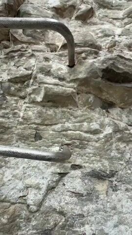 A person's hands are seen grasping onto metal rungs attached to a rock face, as they climb up the rock formation. The rock is light grey, with some brown streaking. The metal rungs are evenly spaced along the face of the rock and the person uses them to assist with their ascent. The person is wearing a bracelet with dark brown beads on their left wrist. A silver cable line runs alongside the rungs.