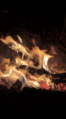 Nighttime campfire documented in rural Russia by lone witness