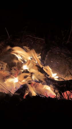 Nighttime campfire documented in rural Russia by lone witness