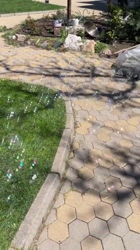 Golden retriever puppy relaxes in bubble-filled Bulgarian yard