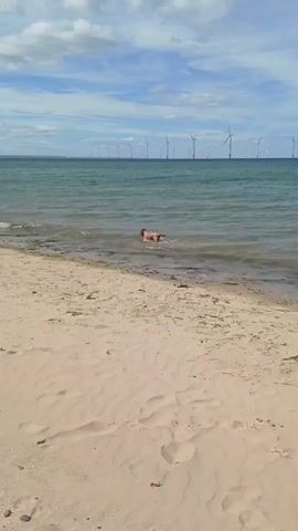 A person is swimming in the ocean near a sandy beach. In the background, a row of wind turbines stands in the water. The sky is cloudy.