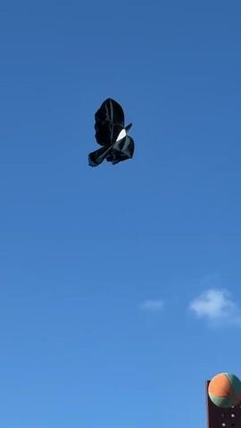 A black and white kite in the shape of a bird flies against a clear blue sky with a few wispy clouds. The kite is mostly black with white accents on its wings and tail. It is captured in mid-flight, appearing to be soaring upwards and to the right. The kite's body is sleek and aerodynamic, with its wings spread wide. The tail feathers are long and trailing, giving the impression of movement and grace. The kite is positioned in the upper half of the frame, leaving ample space for the blue sky to dominate the background. The lighting suggests it is a bright, sunny day.