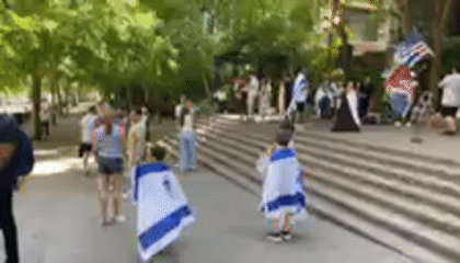 Flag-waving rally against antisemitism held in NYC plaza