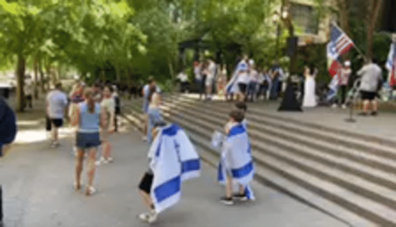 Flag-waving rally against antisemitism held in NYC plaza