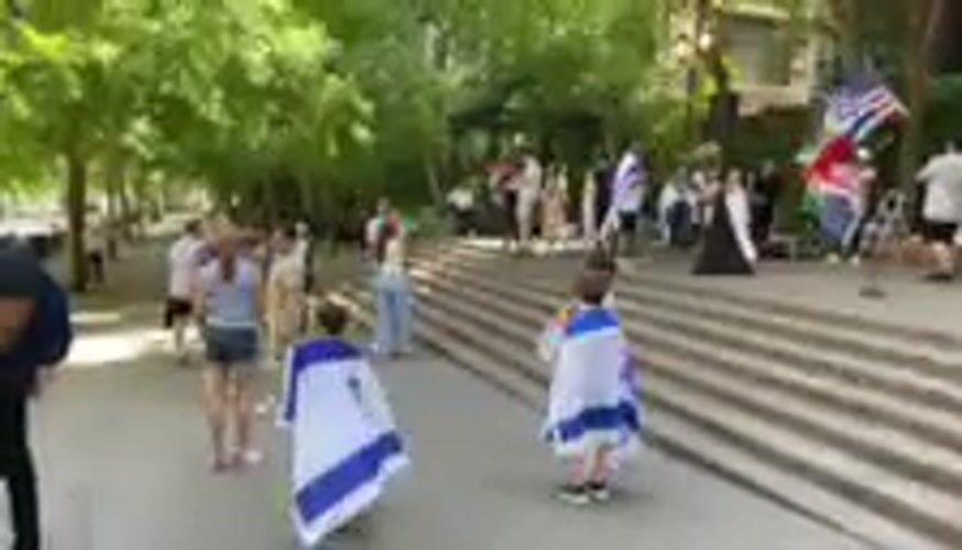Flag-waving rally against antisemitism held in NYC plaza