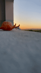 Woman eats salad as peeled tangerine documented on concrete