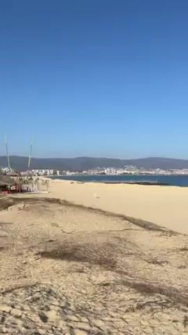 The video shows a panorama of a wide, sandy beach stretching towards the ocean under a clear blue sky. In the distance, a city skyline is visible against a backdrop of low mountains. The beach is mostly empty, except for a solitary figure walking along the shoreline. As the camera pans, small buildings or structures become visible further down the beach. The foreground shows sand dunes covered with sparse vegetation. Towards the end of the video, the camera focuses on a small white building near a bare tree, also on the dunes.
