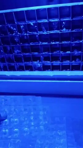 A close-up, medium shot shows a hand in the lower left of the frame reaching into an ice machine. The machine is filled with clear ice cubes arranged in a grid pattern. The hand is partially obscuring the ice as it reaches in, and a single row of ice cubes is lifted up and out of the grid. The ice machine is illuminated by blue light, and the background is dark. The video is short, lasting only five seconds.