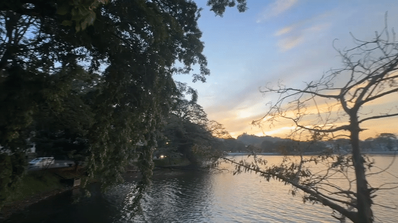 Sunset scenes and wildlife captured at Kandy Lake