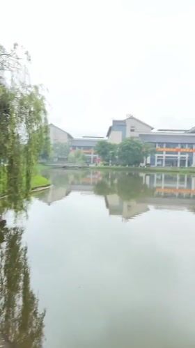Survey fieldwork underway at a Jiangjin park