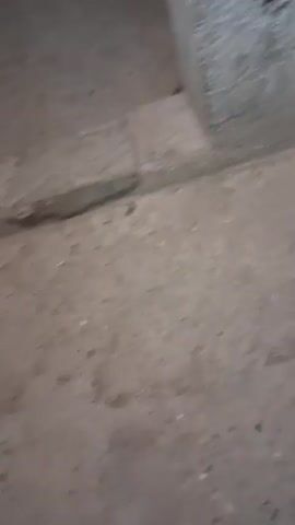 The video shows a poorly lit, unfinished interior space with concrete walls and a dirt floor. There are what appear to be doorways or openings leading to darker areas. One opening has a glass panel. The camera is moving, creating a blurred effect. There are no people visible.
