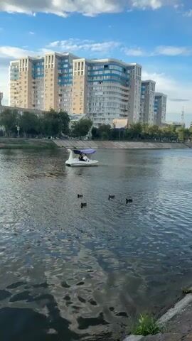 The video captures a serene scene on a calm river, likely in Astrakhan, Russia. In the foreground, the water's surface shimmers, reflecting the light and the sky above. Several ducks are visible, paddling leisurely across the water.

Dominating the background is a modern, multi-story apartment complex with a distinctive curved facade and blue-tinted windows. Trees line the riverbank between the water and the buildings, adding a touch of greenery. A concrete embankment separates the river from the buildings.

The main subject on the water is a white swan-shaped pedal boat, with two people seated inside, enjoying a ride. One person appears to be steering. The boat is shaded by a purple canopy.

The time of day appears to be late afternoon or early evening, suggested by the warm lighting and the presence of some clouds in the blue sky. The weather seems pleasant, contributing to the peaceful atmosphere. The overall mood is one of tranquility and leisure.

No visible text is present in the video.