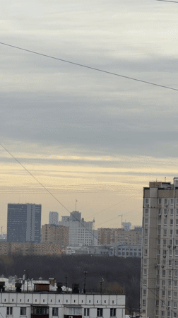 Ruddy shelduck spotted hanging upside down under Khimki building eaves