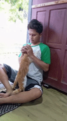 Residents share quiet moments with neighborhood cat in Baron