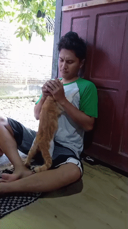 Residents share quiet moments with neighborhood cat in Baron