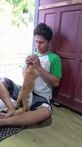 Residents share quiet moments with neighborhood cat in Baron