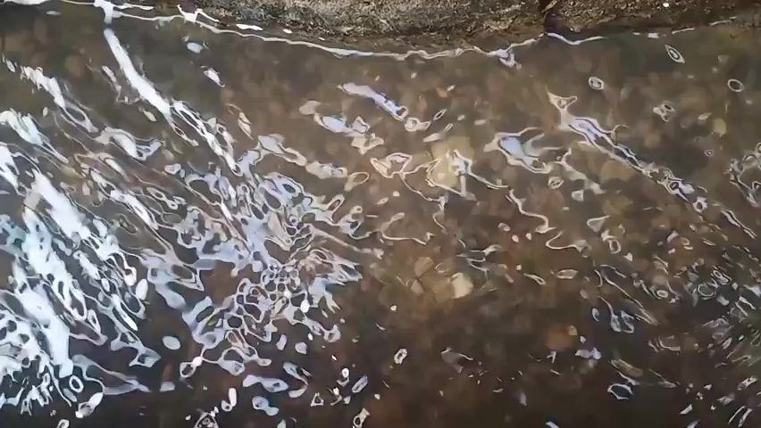 The video shows a close-up view of a shallow body of water. The water is flowing and has some foam on the surface. The bottom of the water appears to be made of rocks and dirt. The lighting is somewhat dim, creating reflections and ripples on the water's surface. There are no people or significant objects visible in the water or its immediate surroundings.