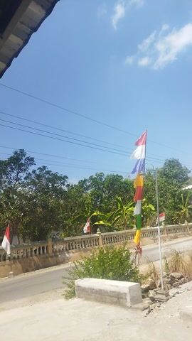 A video pans across a bright blue sky with scattered white clouds. In the foreground, a pole flies several colorful pennant flags, one of which is red and white. Behind the flags, lush green trees and foliage are visible, some of which grow near a corrugated metal roof and a wooden structure, possibly a house or shed, with a closed wooden door. A dirt or gravel road runs alongside the trees, with some dry grass and a small concrete structure on the side of the road. The video is oriented vertically.