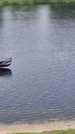 Kayak and canoe racing on the Homyel riverside