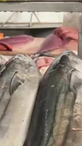 The video shows a fishmonger preparing tuna at a fish market, with the focus on several whole, silvery fish in the foreground. A person's hands are visible through a gap above the fish, using a knife to cut and process a large piece of tuna meat on a wooden cutting board. The tuna meat has a deep red color. The scene is brightly lit, possibly with fluorescent lighting. The fish in the foreground appear fresh and display slight iridescent coloration. Water droplets are visible on the cooler or display case, suggesting a refrigerated environment. There's indistinct chatter in the background.