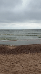 A casual Baltic Sea beach outing at Solnechnoye, Russia