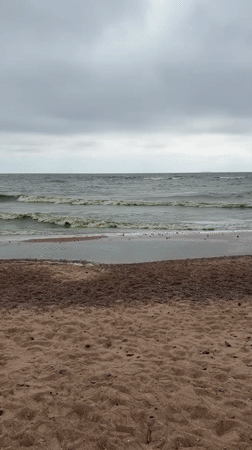A casual Baltic Sea beach outing at Solnechnoye, Russia