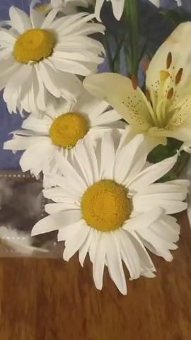 The video shows a close-up of a bouquet of white daisies and a pale yellow lily. The daisies have bright yellow centers and numerous white petals. The lily is partially open, revealing its stamen and pistil, and has speckled petals with reddish-brown spots. The flowers are arranged in a vase, and the background consists of a blue surface and a wooden surface. The lighting is soft, creating a gentle illumination of the flowers.