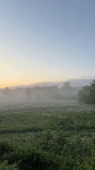 Misty dawn breaks over rural Russian countryside near Уральское
