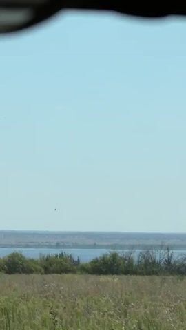 This is a vertical, stationary, outdoor shot of a landscape. The top half of the frame is a pale blue sky, with a faint smudge in the upper center. The bottom half of the frame is divided into three horizontal sections. The top section is a distant view of a body of water, likely a lake or bay, with a thin line of trees along its bank. The middle section is a dense band of dark green foliage. The bottom section is a field of dry, tan-colored grass with some green weeds interspersed. The lighting is bright, suggesting it is daytime.