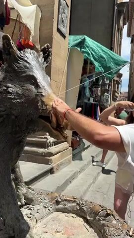 The video shows a person rubbing the snout of the Porcellino statue in Florence, Italy. The statue is bronze and depicts a wild boar. The person is wearing a white t-shirt and has a red bracelet on their wrist. The statue is located on a busy street with shops and other people walking by. The street is paved with stone. The statue's snout is golden and shiny, as it has been worn smooth by people touching it for good luck.