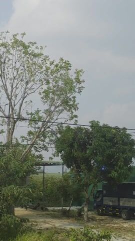 The video shows a passing view of a rural or semi-rural area. The initial shot features a salon named "Salon Toc Minh" with a truck parked nearby. The camera then moves, capturing a landscape with fields, trees, and distant mountains under a cloudy sky. Subsequently, the view includes a white house with a red-tiled roof surrounded by palm trees and other greenery. The camera continues to move, showing more of the landscape with various types of vegetation and structures. The overall impression is a journey through a countryside setting.