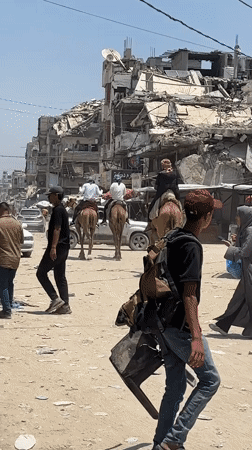 Camels move through rubble-lined streets in a damaged area
