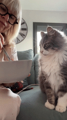 Woman in pajamas prepares meal with pets in French home
