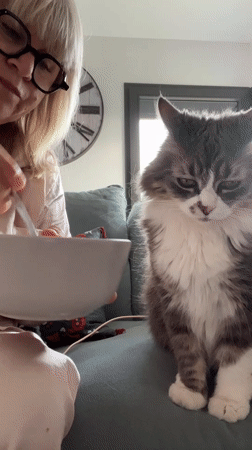 Woman in pajamas prepares meal with pets in French home