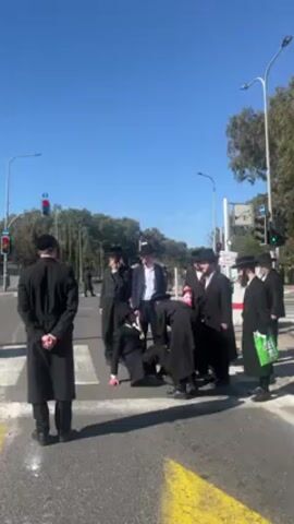A group of men dressed in traditional Orthodox Jewish attire stand on a crosswalk. One man is on the ground, and others assist him to stand up. The group is surrounded by other men, also in traditional garb. Traffic lights are visible in the background, along with trees and streetlights under a clear blue sky.