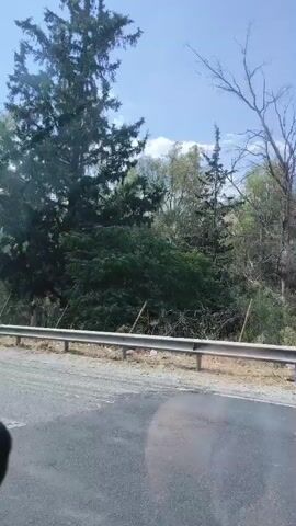 The video captures a view from inside a vehicle traveling on a paved road lined with a metal guardrail. Dense green trees and vegetation flank the road. In the foreground, the side mirror of the vehicle is visible. A silver hatchback is driving ahead, partially obscuring the view of the road. The sky is clear with scattered clouds. In the distance, a concrete bridge or overpass can be seen spanning across the landscape. The camera angle is slightly tilted, suggesting movement.