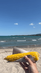 Beach day at Kiten, Bulgaria with families and relaxation