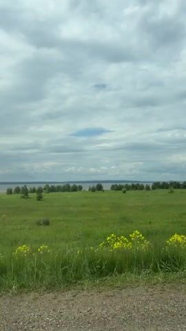 The video presents a wide, expansive view of a rural landscape from a moving vehicle. The sky is overcast with dense grey clouds.

In the initial frames, a triangular road sign with a red border and a black cross symbol, indicating a crossroads or intersection, is visible on the left side. As the camera moves, the sign disappears from view.

The primary subject is a vast green field stretching towards the horizon, dotted with small trees and bushes. Patches of bright yellow wildflowers are prominent in the foreground. In the mid-ground, a wide body of water, likely a river or a large lake, spans the scene, with a distant shoreline visible on the far side. As the vehicle continues, a silver guardrail appears in the lower part of the frame. The ambient sound includes consistent vehicle engine noise. The footage is taken during daylight hours.